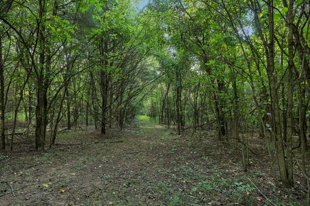 21 Vantrease Rd, Brush Creek, TN 38547