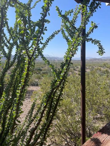 299 Descansos Con Dios, Terlingua, TX 79852