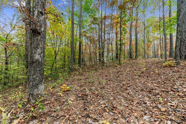LOT 67 Bridge Road, Ellijay, GA 30540