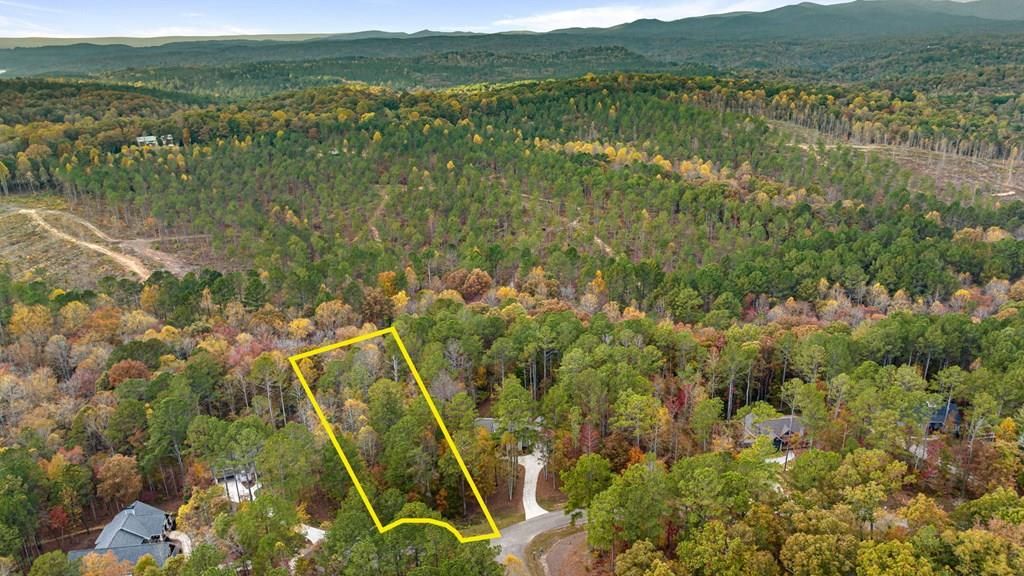 LOT 67 Bridge Road, Ellijay, GA 30540