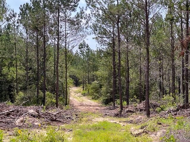 00 Fm 92, Colmesneil, TX 75938
