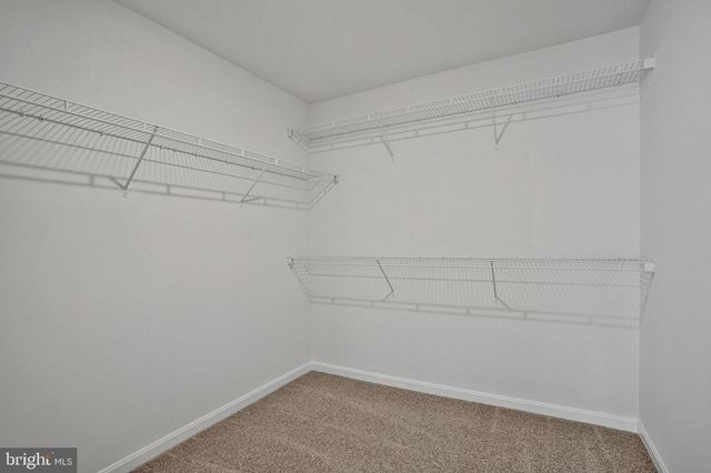 1613 SHADY TREE CT, Bel Air, MD 21015