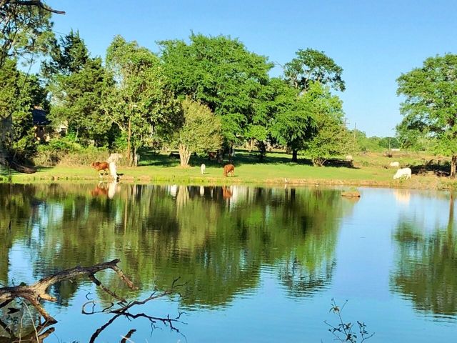 00001 Nelson Road, Hempstead, TX 77445