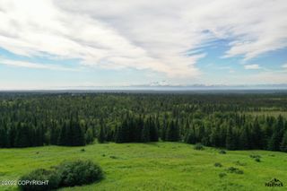 E1 Alaskan Wildwood Ranch(r), Nikolaevsk, AK 99556