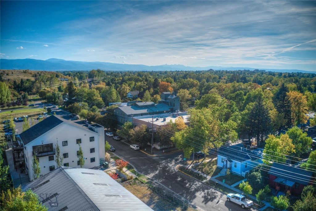 201 S Wallace Avenue A-4-1, Bozeman, MT 59715 photo 44