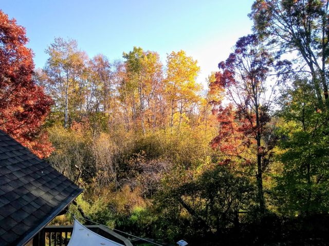 970 Sherwood Road, Shoreview, MN 55126