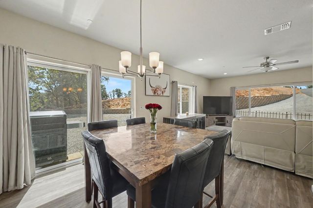 13906 Rose Quartz Ct, Pine Grove, CA 95665