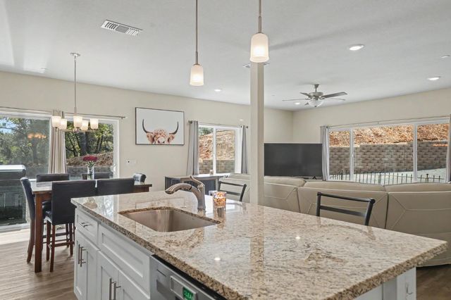13906 Rose Quartz Ct, Pine Grove, CA 95665