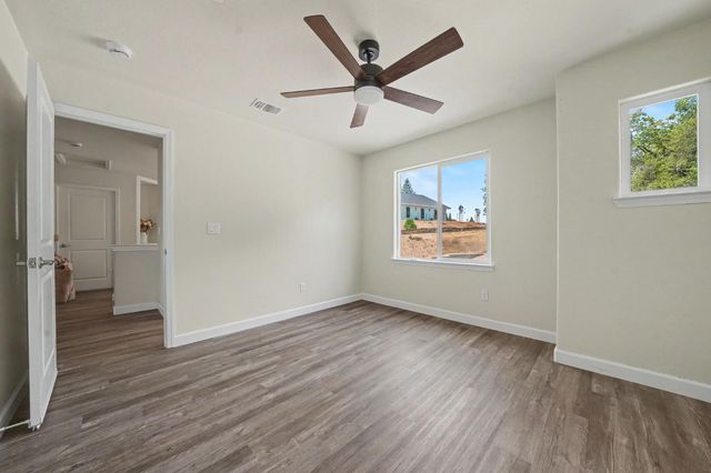 13906 Rose Quartz Ct, Pine Grove, CA 95665