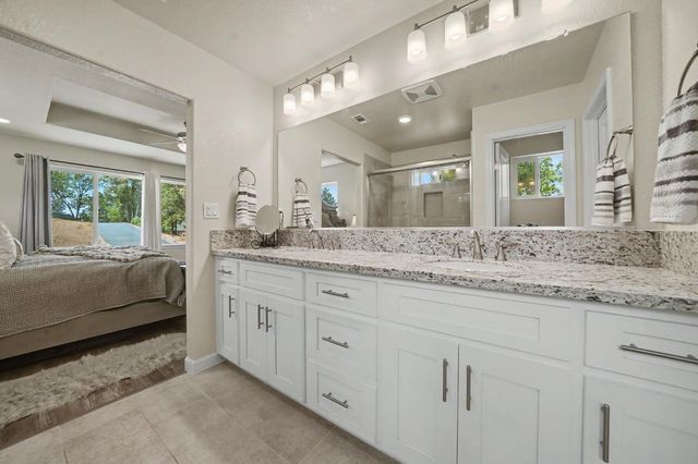 13906 Rose Quartz Ct, Pine Grove, CA 95665