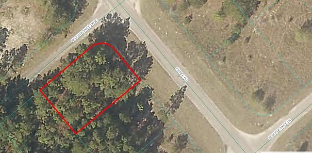 00 FISHER ROAD, Ocklawaha, FL 32179