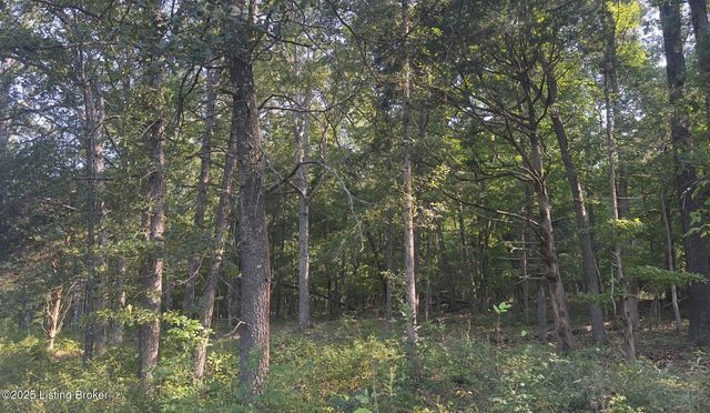 13600 Grayson Springs Rd, Clarkson, KY 42726