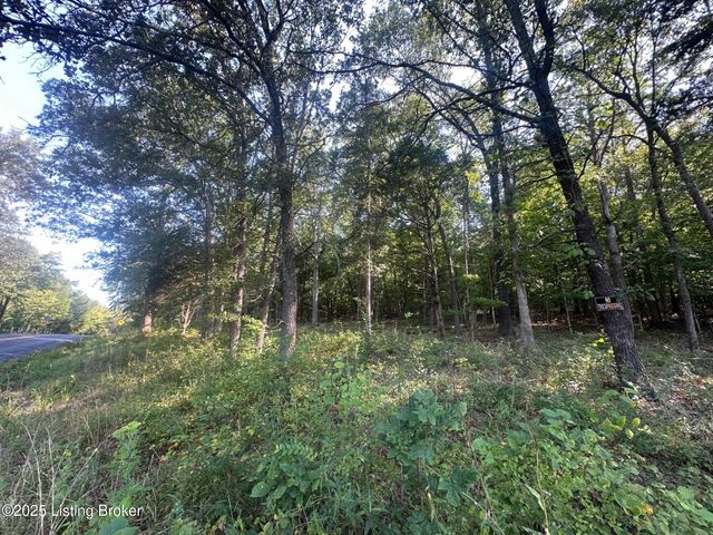 13600 Grayson Springs Rd, Clarkson, KY 42726