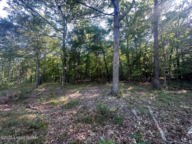 13600 Grayson Springs Rd, Clarkson, KY 42726