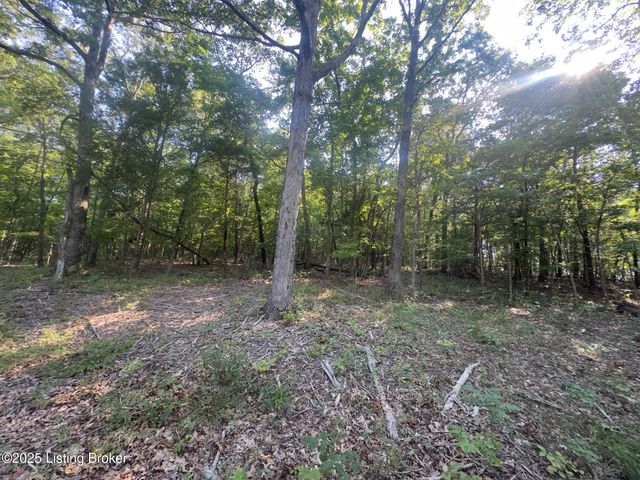 13600 Grayson Springs Rd, Clarkson, KY 42726