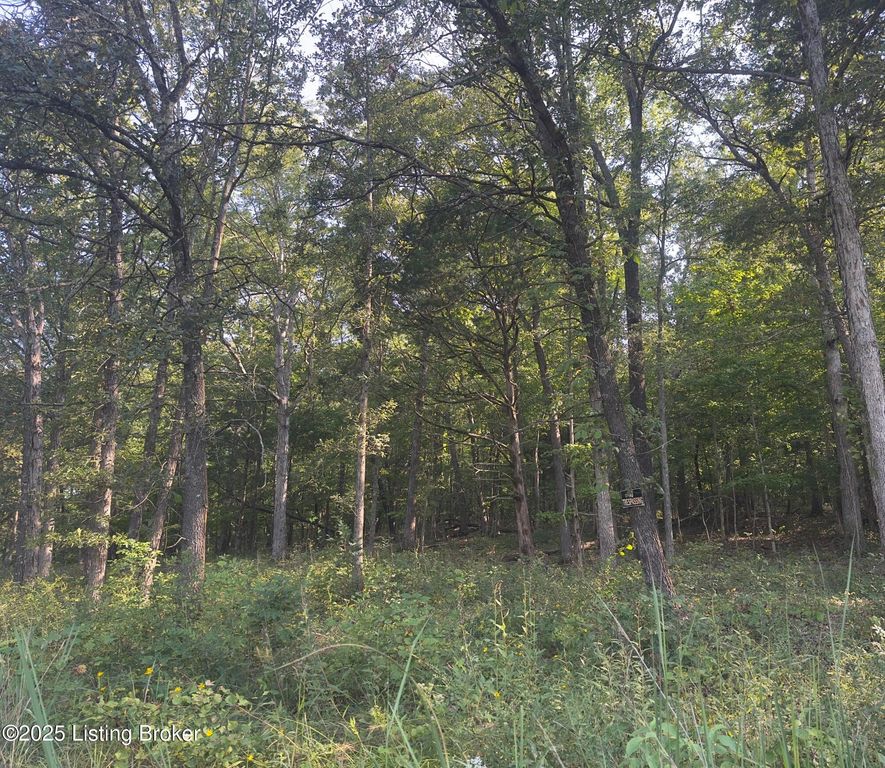 13600 Grayson Springs Rd, Clarkson, KY 42726