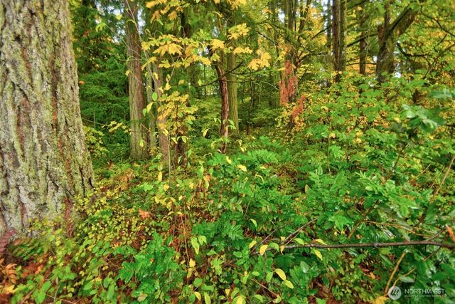 7640 Mesplay Avenue SE, Lacey, WA 98503