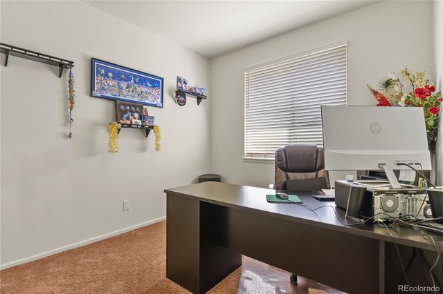 3921 John Court, Castle Rock, CO 80104