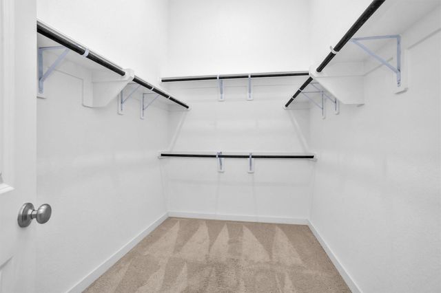 256 Sky Top Drive, Montgomery, TX 77316