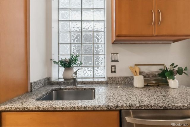 960 N Ogden Street, Denver, CO 80218