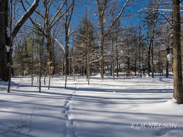 4791 Doug Drive, Fruitland Twp, MI 49461