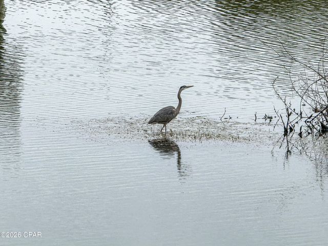 9860 S Thomas Drive 1906, Panama City, FL 32408