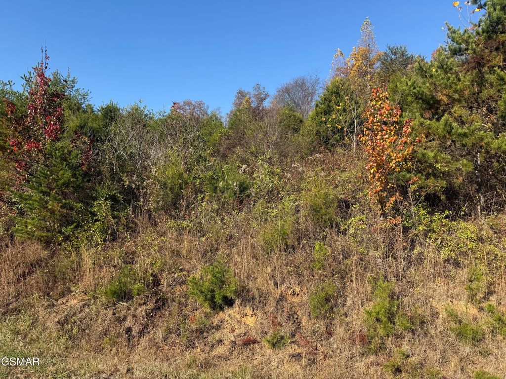 LOT 19 ENGLISH FIELDS, Newport, TN 37821