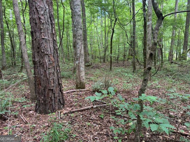 1634 Carman Way, Ranger, GA 30734