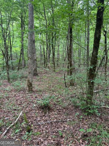 1634 Carman Way, Ranger, GA 30734