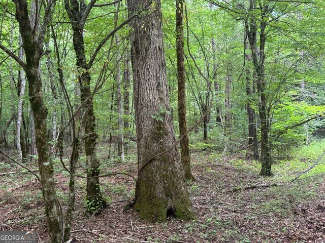 1634 Carman Way, Ranger, GA 30734