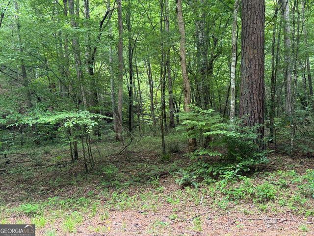 1634 Carman Way, Ranger, GA 30734