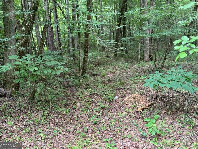 1634 Carman Way, Ranger, GA 30734