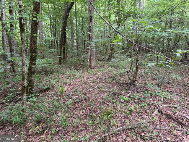 1634 Carman Way, Ranger, GA 30734