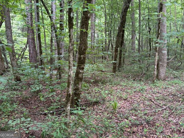 1634 Carman Way, Ranger, GA 30734