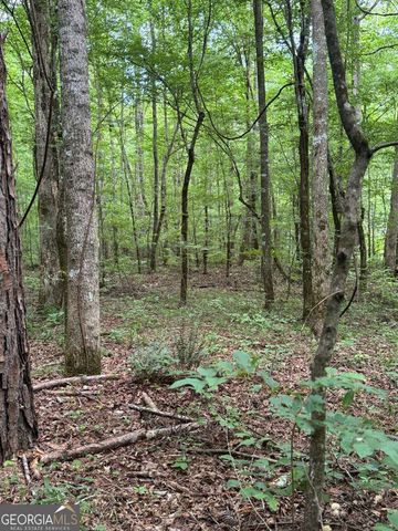 1634 Carman Way, Ranger, GA 30734