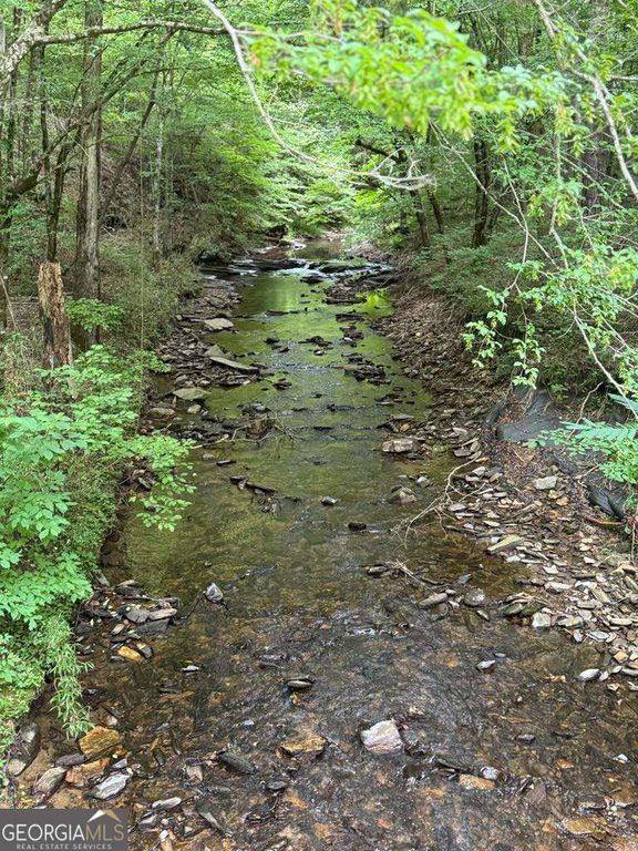 1634 Carman Way, Ranger, GA 30734