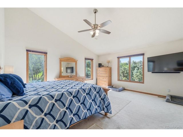 5919 Irish Pat Murphy Dr, Parker, CO 80134