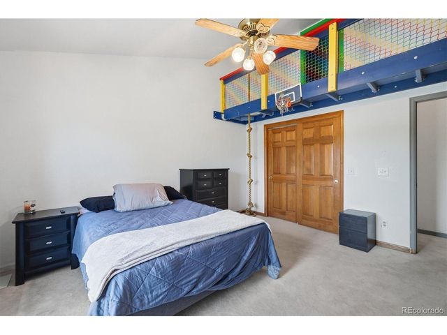 5919 Irish Pat Murphy Dr, Parker, CO 80134