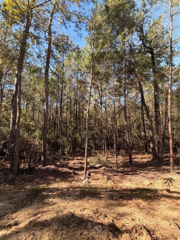 4578 Blue Agave Way, Montgomery, TX 77316