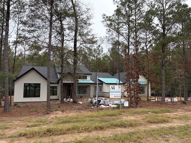 4578 Blue Agave Way, Montgomery, TX 77316