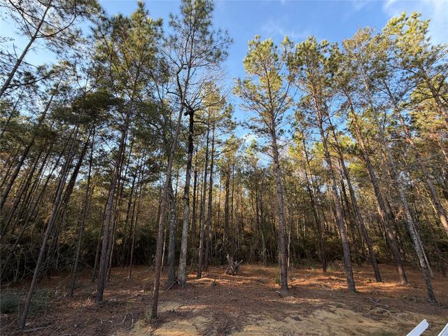 4578 Blue Agave Way, Montgomery, TX 77316