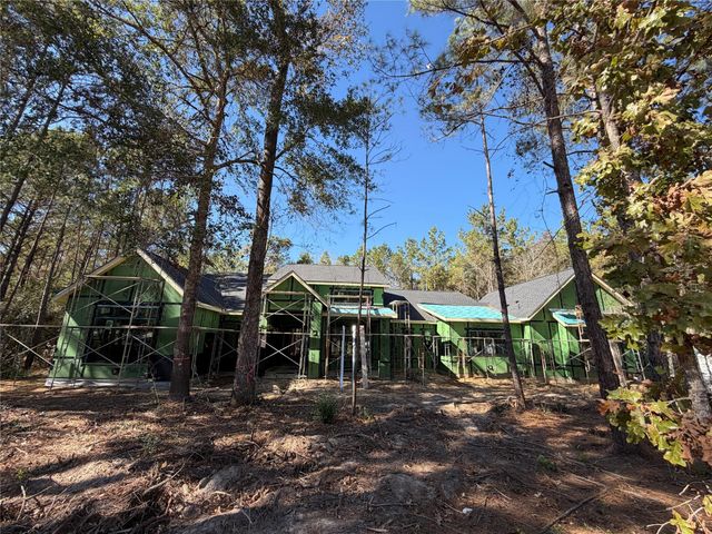 4578 Blue Agave Way, Montgomery, TX 77316