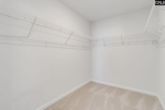 2076 County Line Trail, Elgin, SC 29045