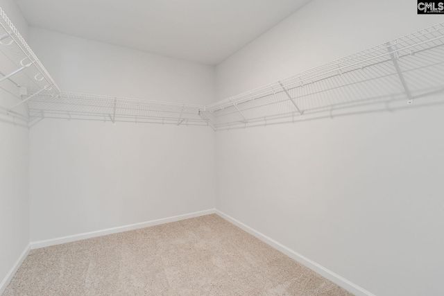 2076 County Line Trail, Elgin, SC 29045