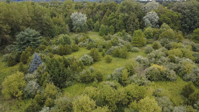 11000 Sooten Road, Manchester, MI 48158