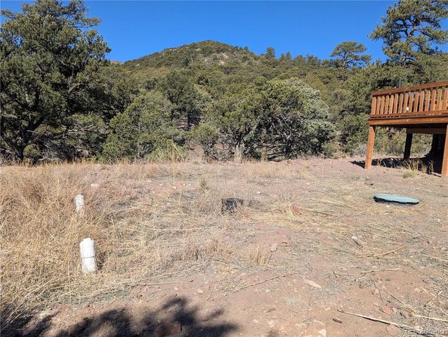 4585 Laidlaw Road, Fort Garland, CO 81133