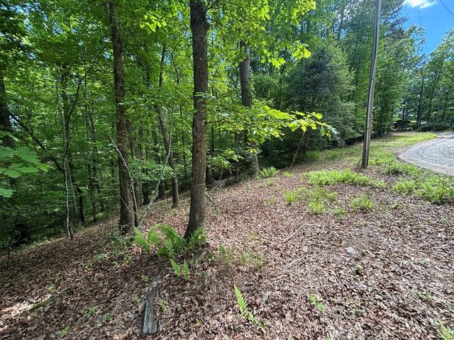 Lot 1B Forest Lane, Murphy, NC 28906