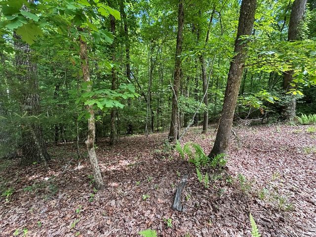 Lot 1B Forest Lane, Murphy, NC 28906