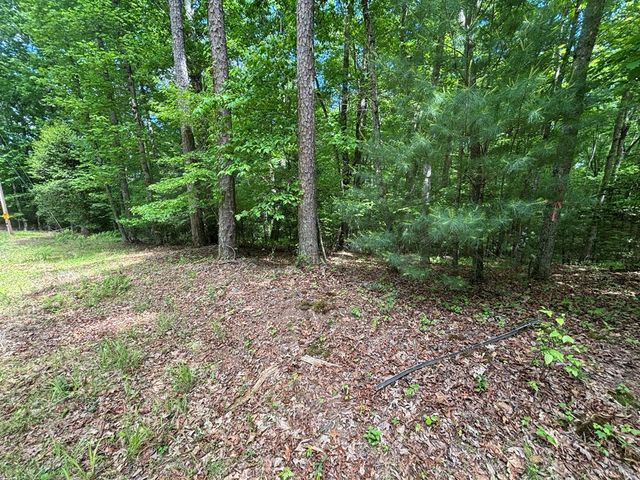 Lot 1B Forest Lane, Murphy, NC 28906