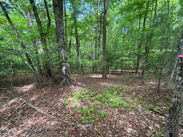 Lot 1B Forest Lane, Murphy, NC 28906